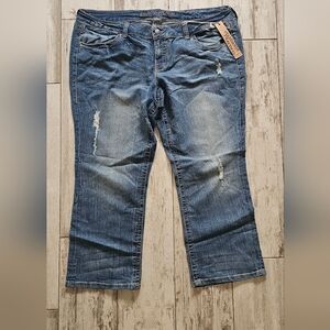 Standards And Practices NWT Blue Distressed Women Jeans 23W / 30L 22 Plus